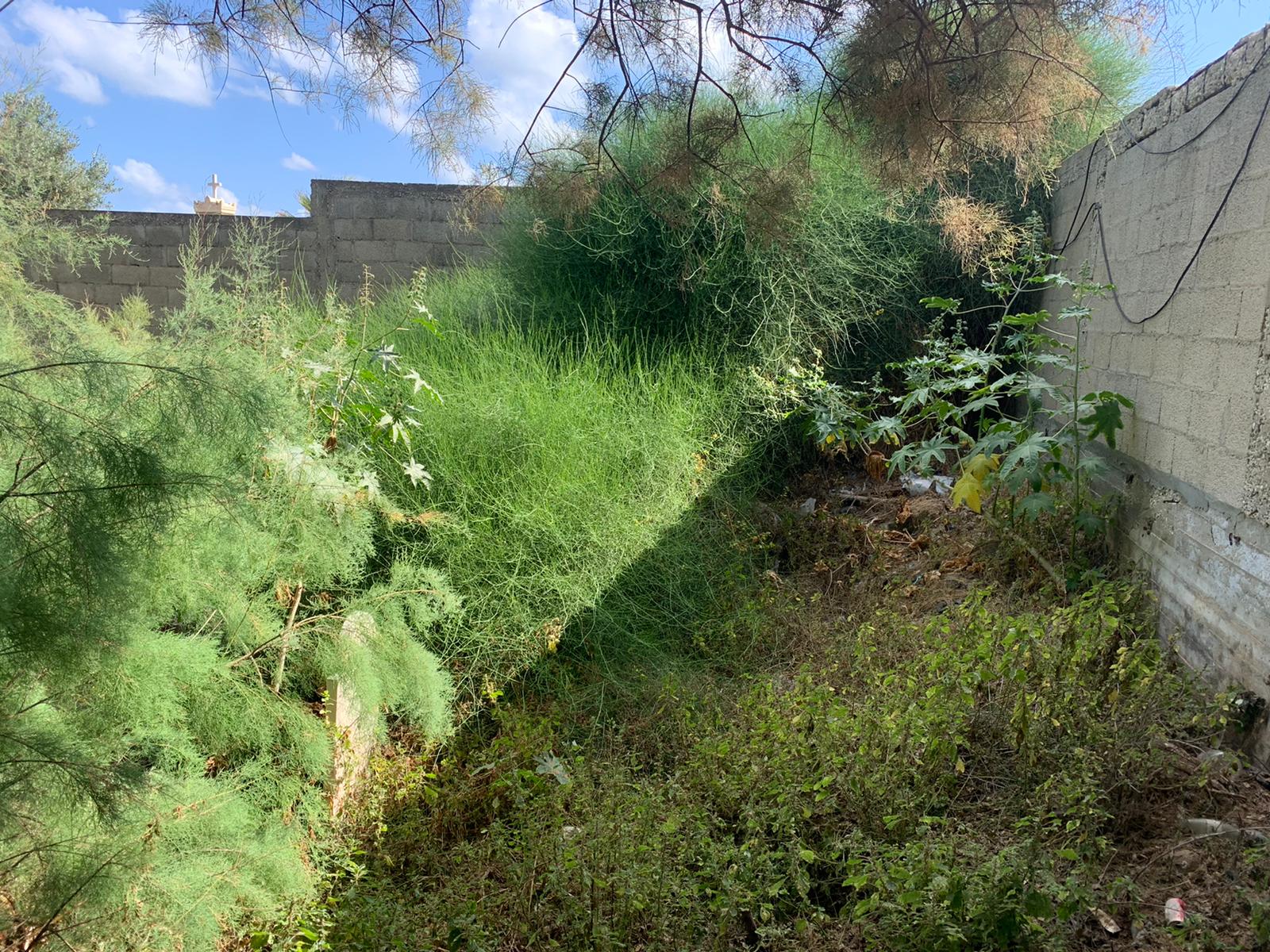 WhatsApp Image 2021-05-31 at 10.48.59 AM (1).jpeg